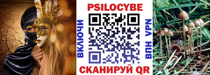 ОМГ ОМГ как зайти  Западная Двина  Псилоцибиновые грибы мицелий  даркнет сайт 