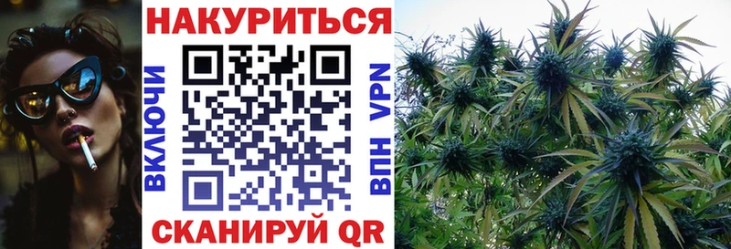Бошки марихуана Amnesia  кракен ТОР  Западная Двина  купить  